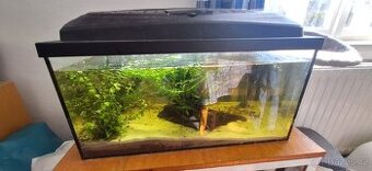 Akvarium 54 litrů