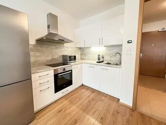 Pronájem bytu 2+kk 65 m²
Praha -7