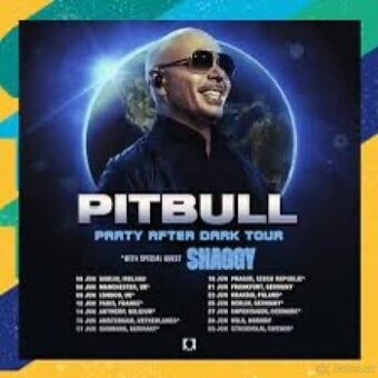 Pitbull - Party After Dark