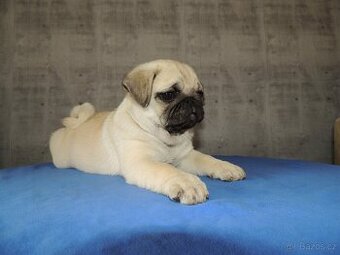 MOPS s PP. - 1