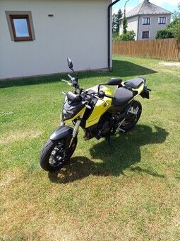 Honda hornet