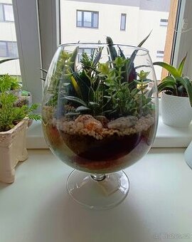 Florarium/Kompozice ze sukulentu ve vaze