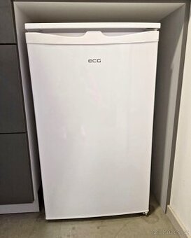 Lednice ECG ERT 10850 WF