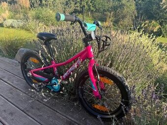 Dětské kolo SPECIALIZED Riprock Coaster 16
