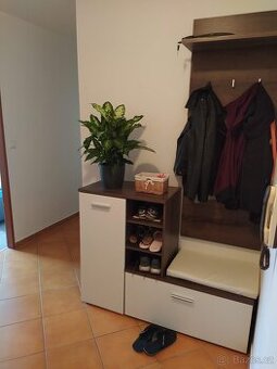 Předsíňová stěna