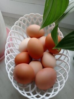 Domácí vajíčka