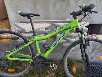 Author - chlapecké kolo