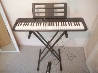 Erotické klávesy casio