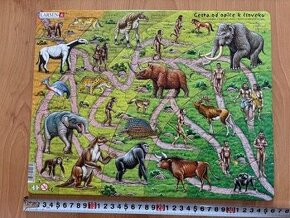 Puzzle: Cesta od opice k človeku