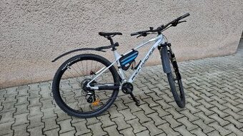 Chlapecké kolo