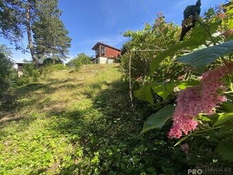 Prodej rekreační chaty s pěkným pozemkem, Olomouc, Droždín.