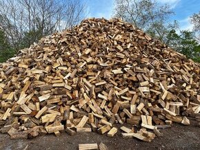 Palivové tvrdé dřevo