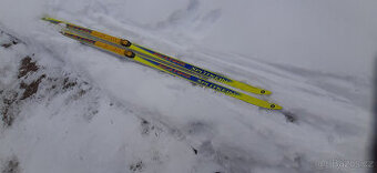 Běžecké lyže Salomon Skating 195 cm s vázáním SNS