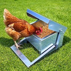 Nášlapné krmítko pro slepice 3 l – proti vrabcům a myším