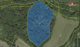Prodej lesa, 38344 m², Borovnice - 1