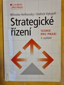 Strategické rizeni