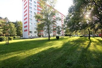 Pronájem bytu 1+kk Hradec Králové