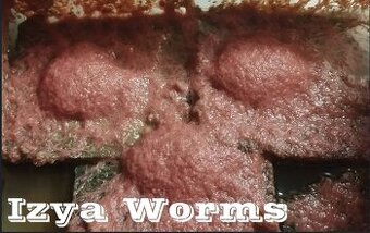 Živé krmiv, násady - Auloforus, Grindal, Mikry, Moina...