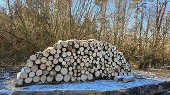 Prodám palivové dřevo