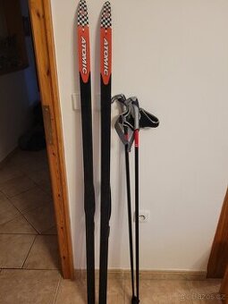 Prodám běžky a hůlky.