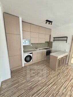 Pronájem bytu 2+kk 50 m², Praha - Žižkov, ev.č. N08820