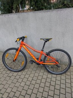 Scott scale 20 palcu