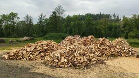 Palivové dřevo štípané SKLADEM, Třebíč, Vysočina