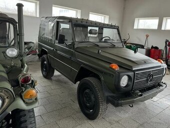 Mercedes-Benz G250