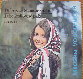 SP deska M.Voborníková 1973-Dobře,že tě mámo mám/58/