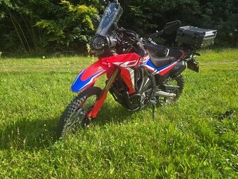 Honda crf 300 rally 2024 ZARUKA DO 8/26.