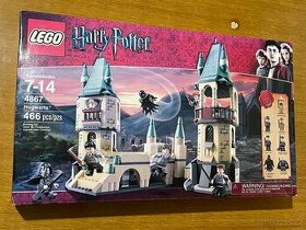 LEGO Harry Potter 4867 Hogwarts - 1