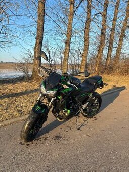Kawasaki Z650 (2021, model 2022)