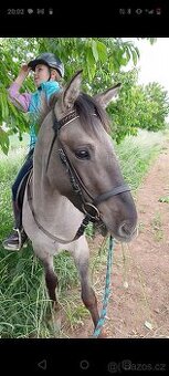 Pony valášek