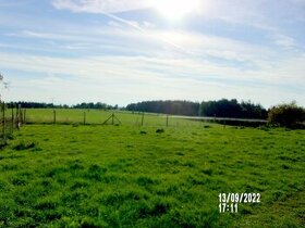 ZDARMA BYDLENÍ nezadané ženě v Hranicích u Aše - 1