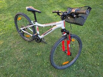 Kolo Author A-Matrix SL 24"