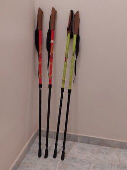 trekingové, trekové hole, hůlky