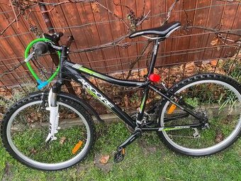 Kolo Arcore JR SHAPE 24 14"