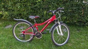 DEMA Pegas 24'' M červené dětské jízdní kolo