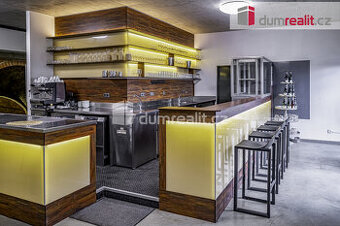 Bar nebo kavárna s vinným sklepem Pavlov u Dolních Věstonic