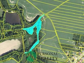 Prodej lesa 6 771 m², Krchleby, ev.č. 02576