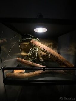 Terarium repti planet 60c45x45