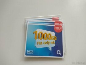 Datamanie 02 - 1000 GB