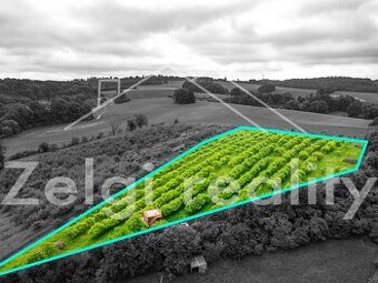 Polom - Jabloňový sad 9760m² s zahradním domkem na prodej