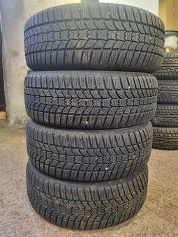 Sava Eskimo HP2 215/60 R16
