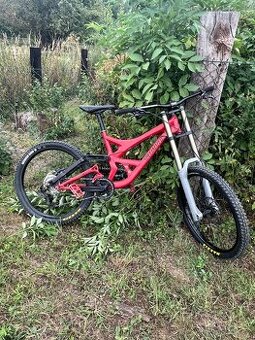 specialized demo 8