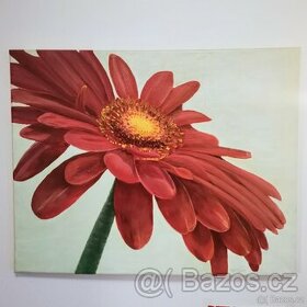 Obraz Kytka , 40x50 cm - 1