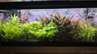 Akvarium,2xsvetlo,filtr,co2 set,atomizer,pocitatdlo,topitko