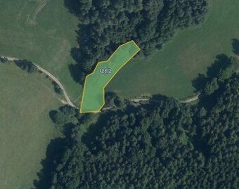 Zemědělská půda, prodej, Zborov, Šumperk