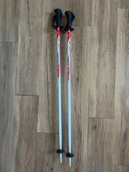 Dětské hůlky Blizzard 90 - 1