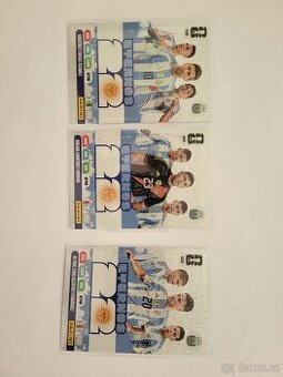 Karty Eternos panini